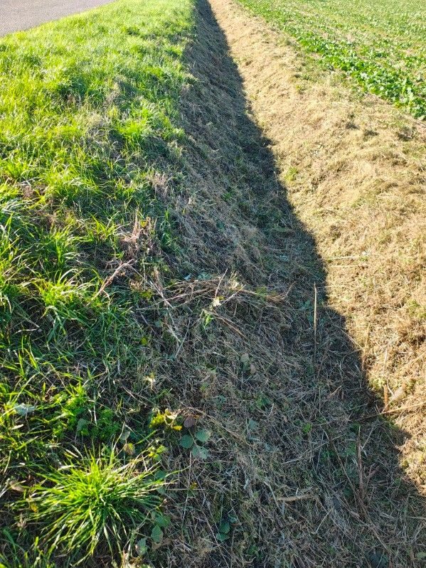Rów Budy Stare – Ryszardów, przy drodze powiatowej.